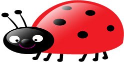 Ladybird